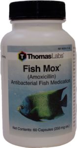 Amoxicillin for Fish