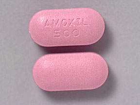 Amoxicillin500mg