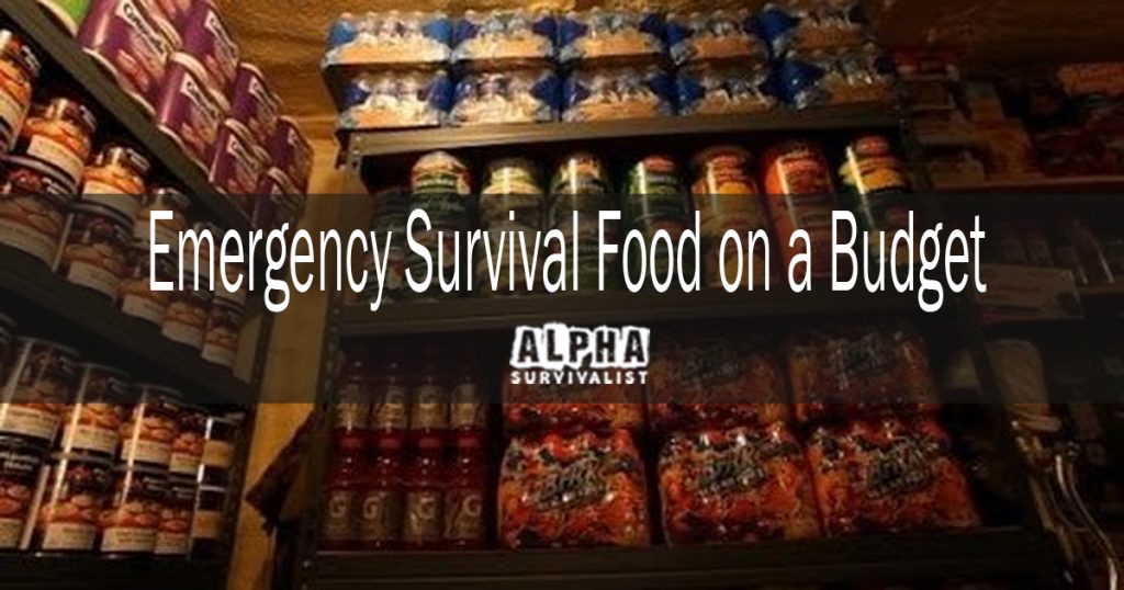 Food Storage on a Budget Emergency-Survival-Food-on-a-Budget-1200-1024x538