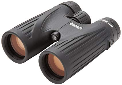 Bushnell Legend Ultra HD 10x42 Roof Prism Binocular