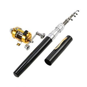 Pen Telescopic Fishing Rod and Reel