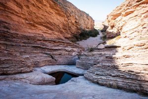 Water in Canyon - How to find water in the Desert