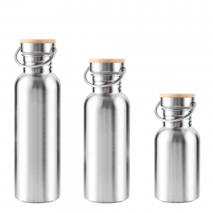 Stainless Steel Water Bottles