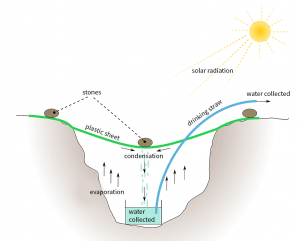 Solar Still