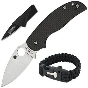 Spyderco Sage Folding Self Defense Knife