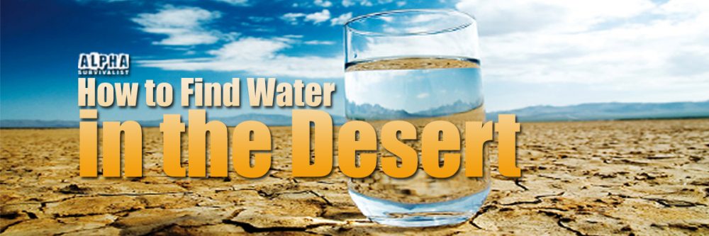 how to find water in the desert