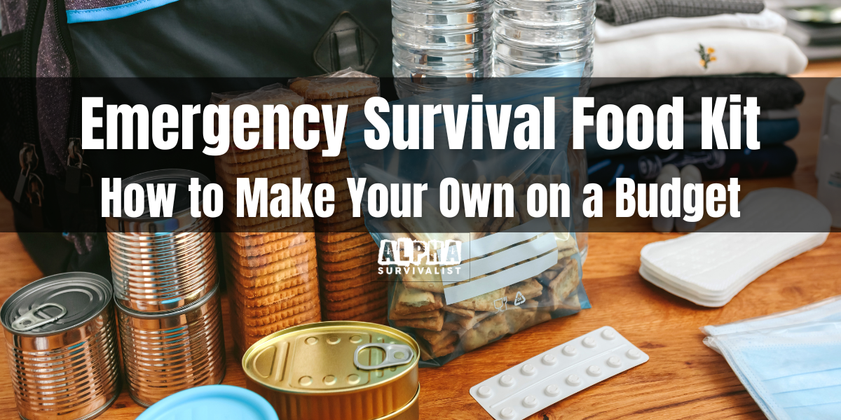Emergency Survival Food Kit - How to Make Your Own on a Budget